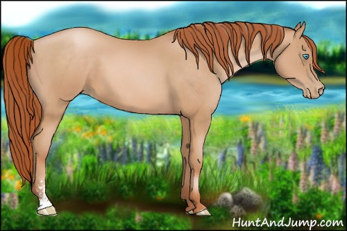 Horse Color:Buckskin Pearl Sabino
