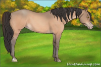 Horse Color:Amber Champagne