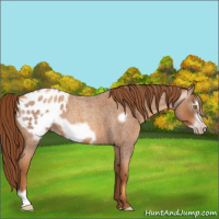 Horse Color:Gray Gold Champagne Roan Frame Blanket
