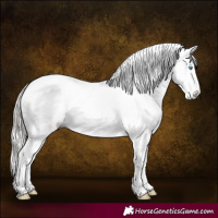 Horse Color:Gray Cremello Roan Tobiano Frame Appaloosa 