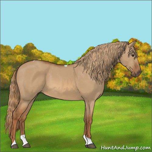 Horse Color:Red Dun Tobiano 