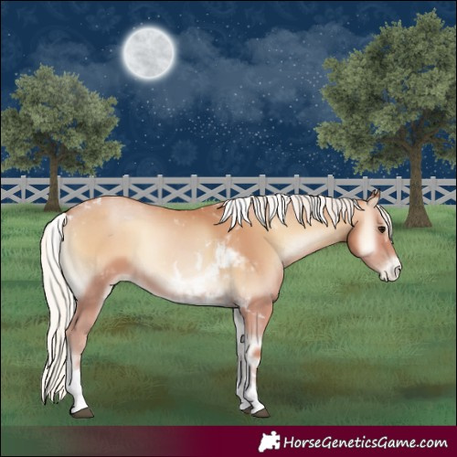 Horse Color:Silver Blue Onyx Pearl Tobiano 