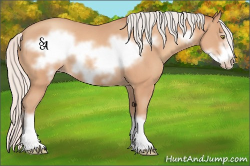 Horse Color:Silver Amber Champagne Frame 