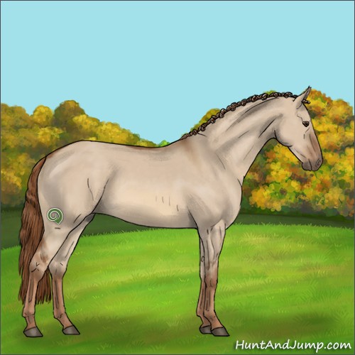 Horse Color:Red Dun