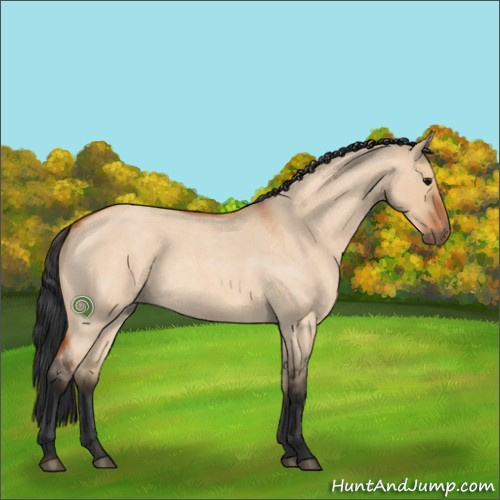Horse Color:Bay Roan Dun