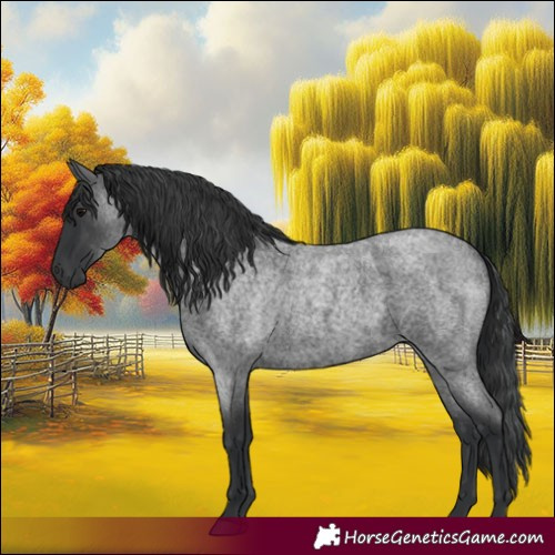 Horse Color:Blue Roan 