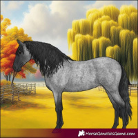 Horse Color:Blue Roan 
