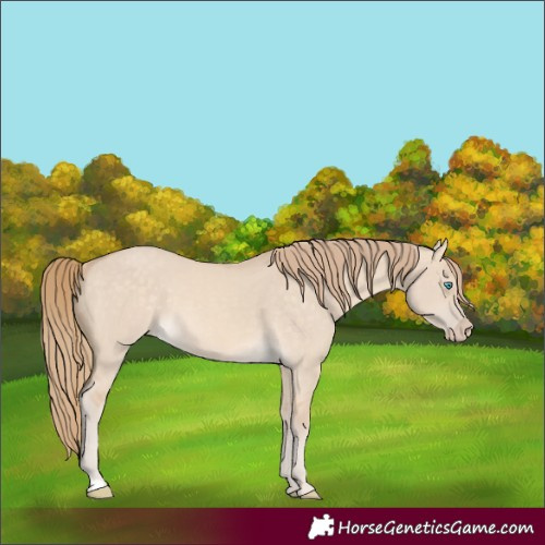 Horse Color:Perlino Dun