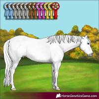 Horse Color:Gray Silver Brown Dun Fewspot