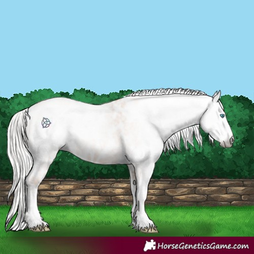 Horse Color:Gray Cremello Roan Tobiano Frame Near Leopard 