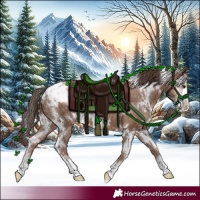 Horse Color:White Spotted Classic Champagne Sabino