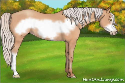Horse Color:Silver Amber Champagne Frame