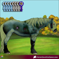 Horse Color:ERROR: UNKNOWN ANOMALY