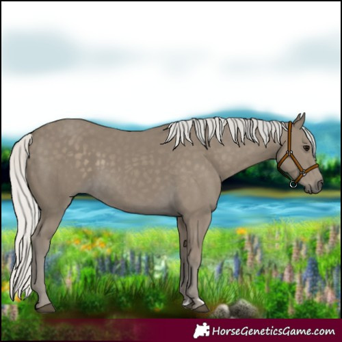 Horse Color:Silver Smoky Black 