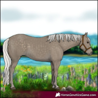 Horse Color:Silver Smoky Black 