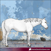 Horse Color:Gray Chestnut 