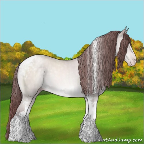 Horse Color:Platinum Chocolate Sable Cream Champagne Tobiano 