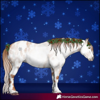 Horse Color:Gray Gold Champagne Roan Tobiano Frame Leopard 