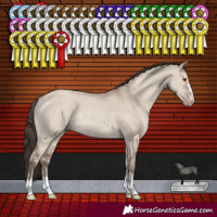 Horse Color:Classic Champagne Dun Rabicano 