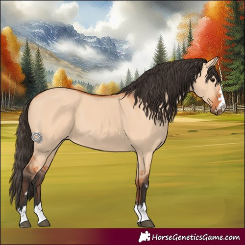 Horse Color:Bay Dun 