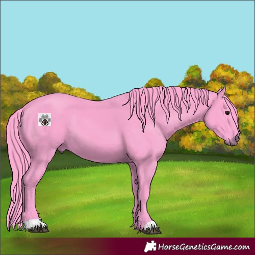 Horse Color:Watercolor Smoky Black 