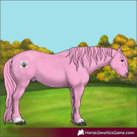 Horse Color:Watercolor Smoky Black 