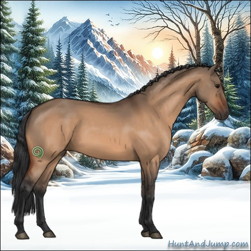 Horse Color:Bay Dun