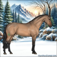 Horse Color:Bay Dun