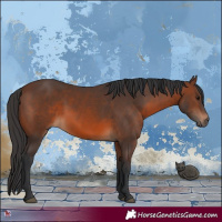 Horse Color:Brown 