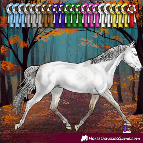 Horse Color:Gray Sable Cream Champagne Roan Dun Sabino Near Leopard Brindle