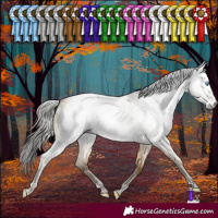 Horse Color:Gray Sable Cream Champagne Roan Dun Sabino Appaloosa Brindle 