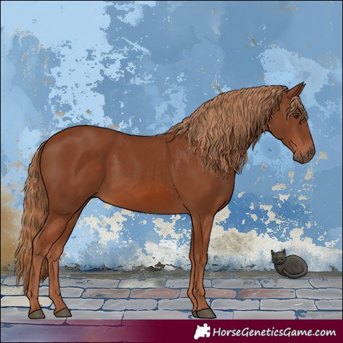 Horse Color:Chestnut 