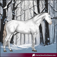 Horse Color:Liver Chestnut Sabino Splash Snowflake Varnish