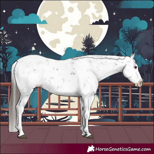 Horse Color:Liver Chestnut Sabino Splash Snowflake Varnish