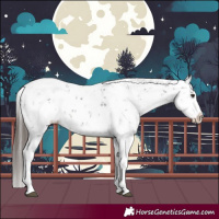 Horse Color:Liver Chestnut Sabino Splash Snowflake Varnish
