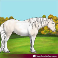 Horse Color:Silver Amber Cream Champagne Pearl Tobiano Frame