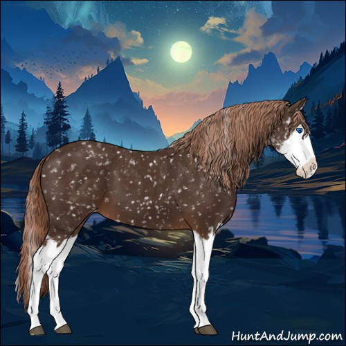 Horse Color:Liver Chestnut Sabino Splash Snowflake Varnish