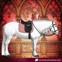 Horse Color:Liver Chestnut Sabino Splash Appaloosa 