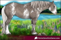 Horse Color:White Spotted Silver Black Tobiano 