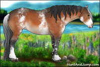 Horse Color:White Spotted Bay Sabino