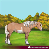 Horse Color:Silver Bay Dun Sabino Tobiano Frame Rabicano