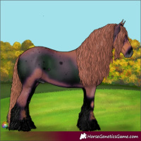 Horse Color:ERROR: UNKNOWN ANOMALY and ERROR: UNKNOWN ANOMALY