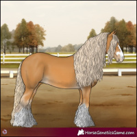 Horse Color:Palomino 