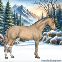 Horse Color:Palomino Roan 