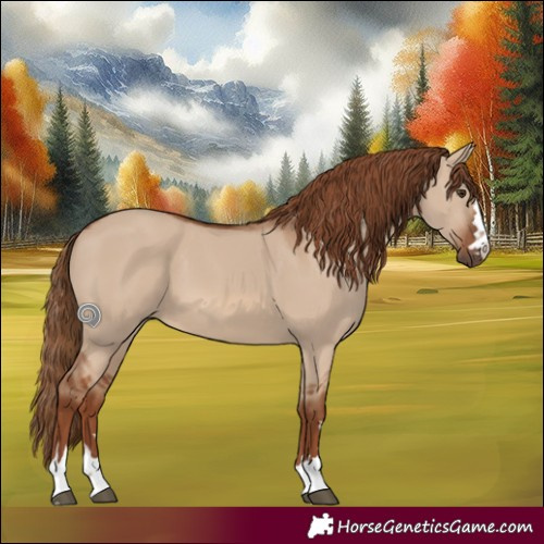 Horse Color:Red Dun 