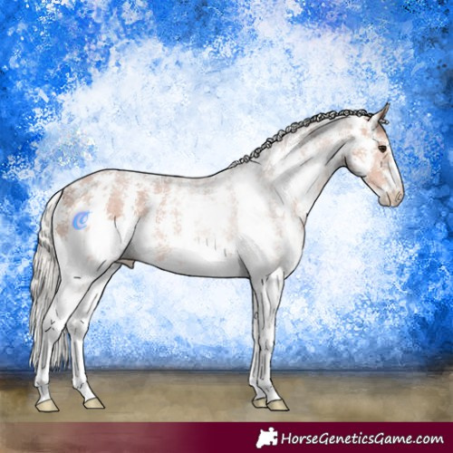 Horse Color:Silver Bay Sabino 