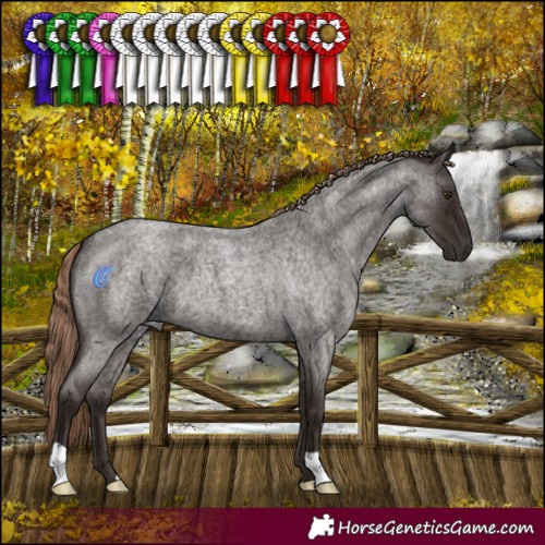 Horse Color:Liver Red Roan 