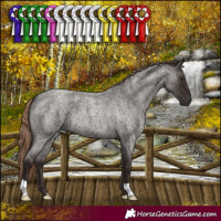 Horse Color:Liver Red Roan 