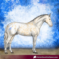 Horse Color:White Spotted Palomino Sabino Appaloosa