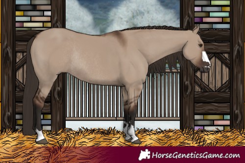 Horse Color:Liver Red Dun Rabicano 